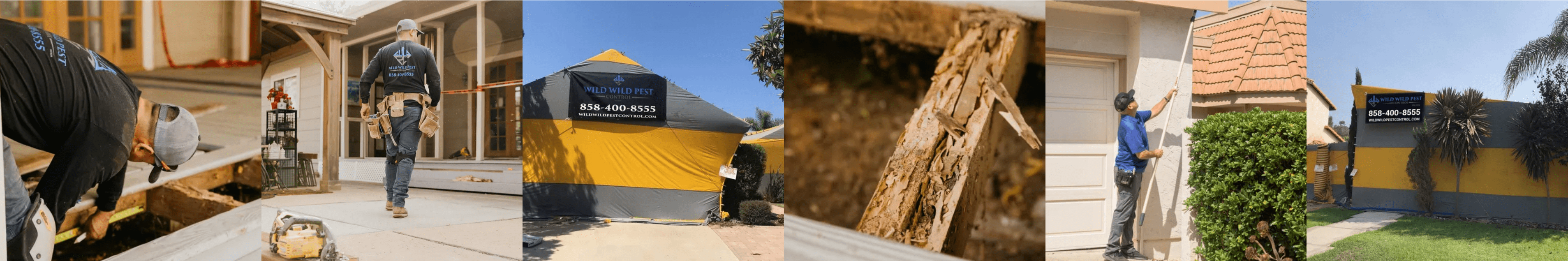 Termite Treatment San Diego