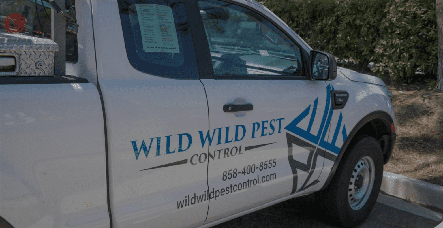 Pest Control In Escondido Ca