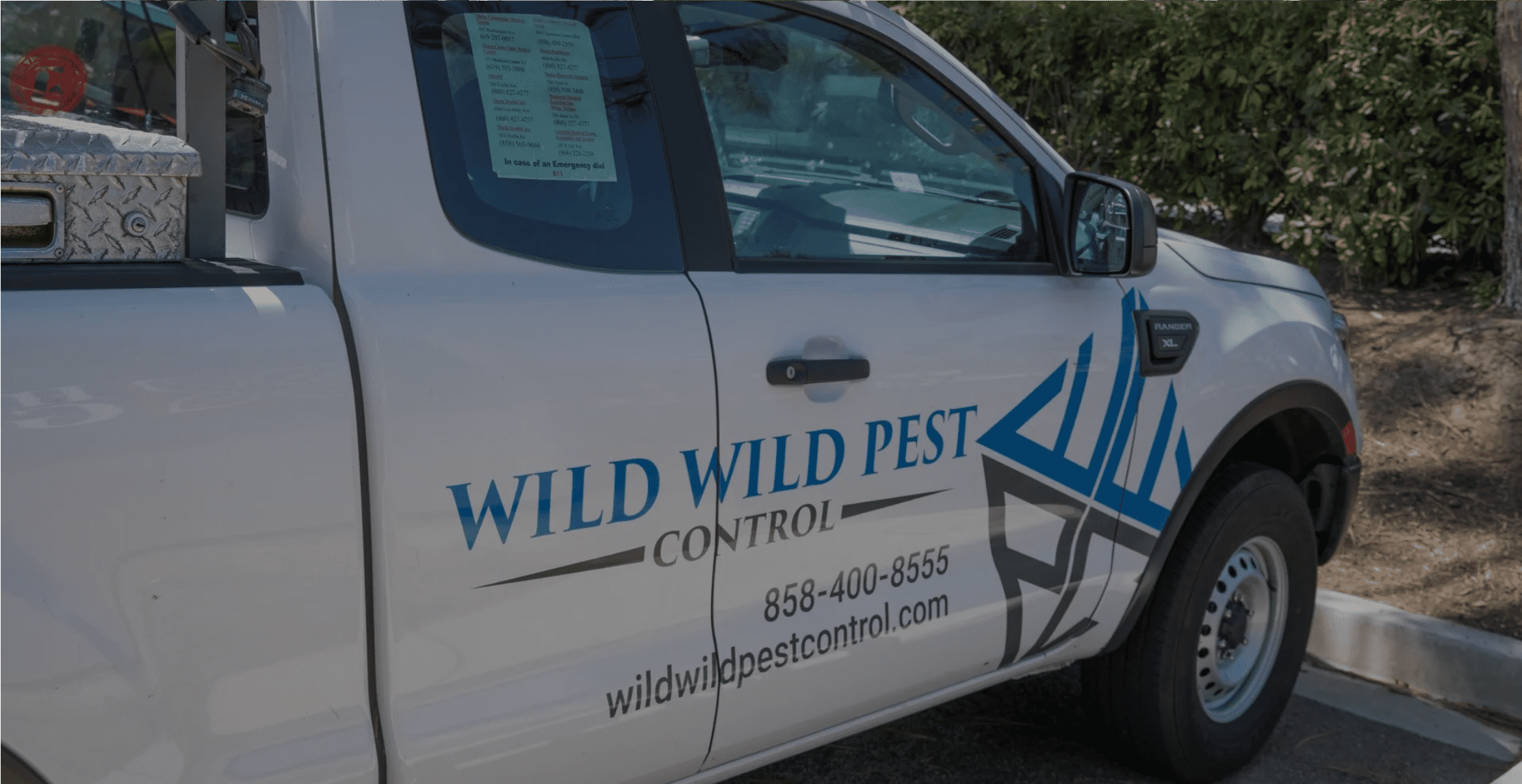 Termite Treatment San Diego