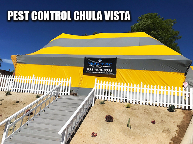 pest control chula vista