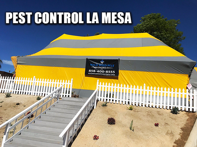 pest control la mesa