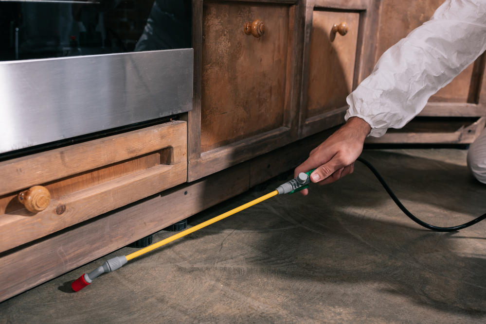 Ez Bed Bug Treatment Las Vegas